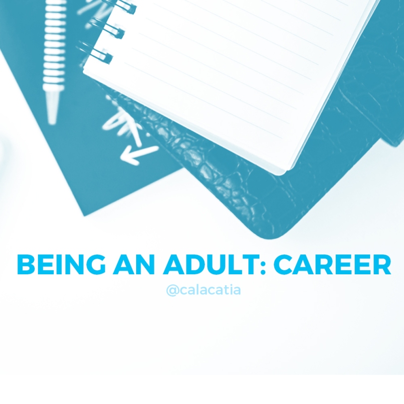 Adult Career 114